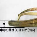 �����̑O�̕����̍����F�n�ʂ��3.3cm���x�𐄏�